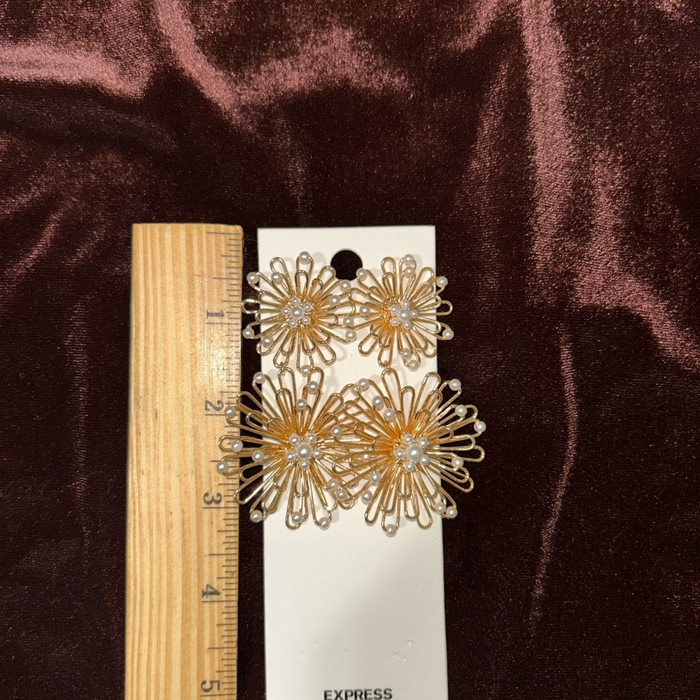 Express Earrings - Picture 2 of 6